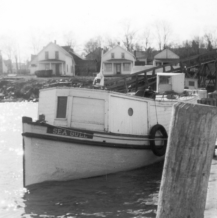 Sea Gull at Bayfield